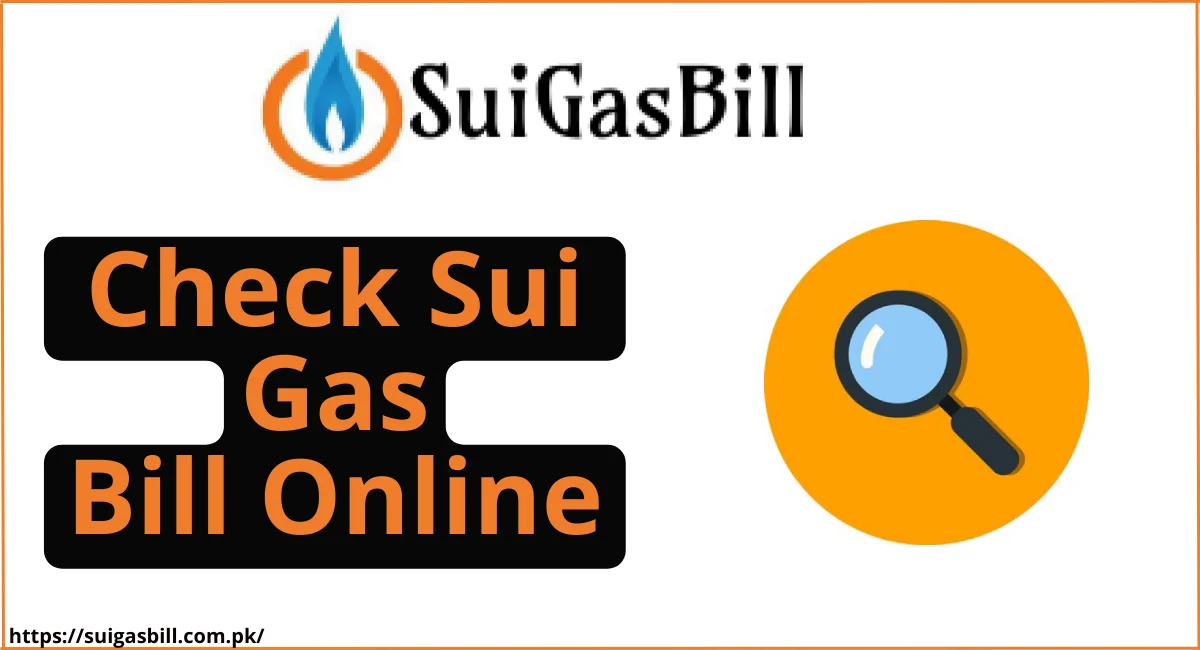 Sui Gas Bill February 2025 Sui Gas Bill February 2025